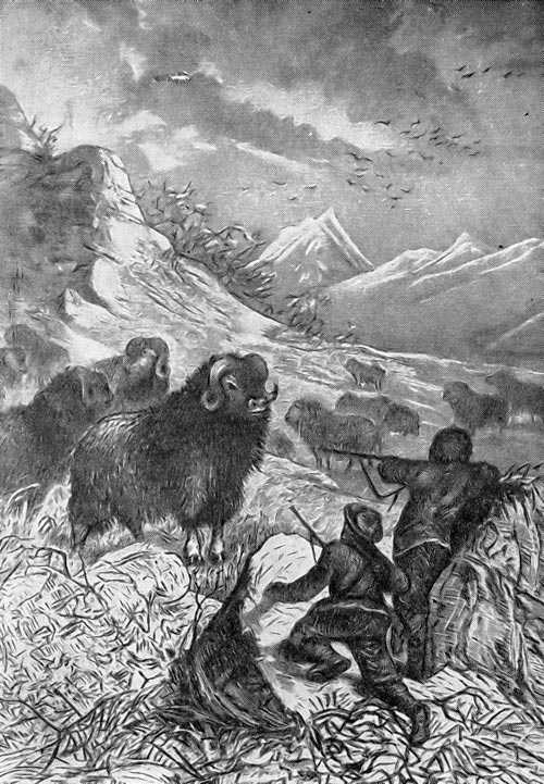 Экспедиция чарлза холла (1871—1873)
