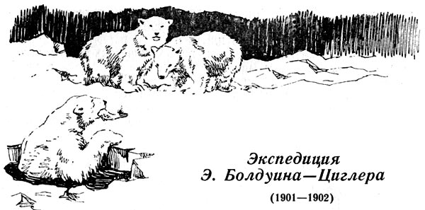 Экспедиция э. болдуина — циглера (1901 — 1902)