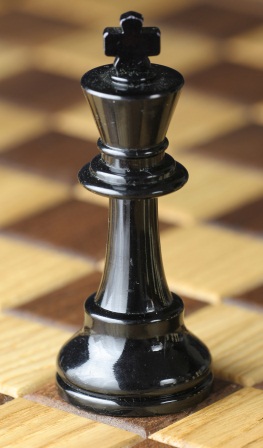 Как ходят шахматные фигуры