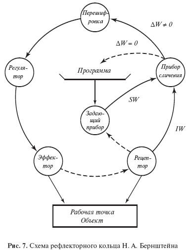 Механизмы организации движений по н. а. бернштейну: принцип сенсорных коррекций, схема рефлекторного кольца, теория уровней