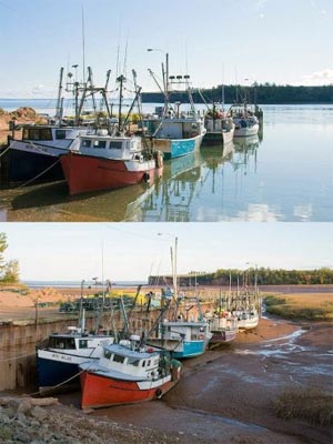 Нагон и сгон воды. «моряна»