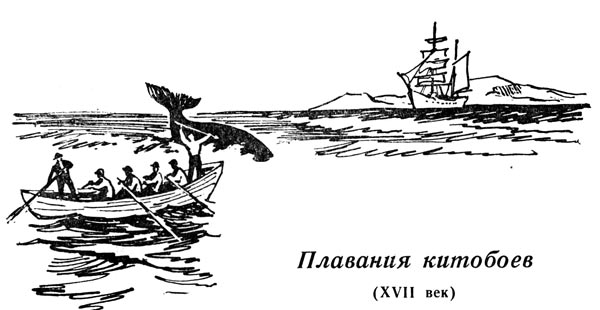 Плавания китобоев (xvii век)
