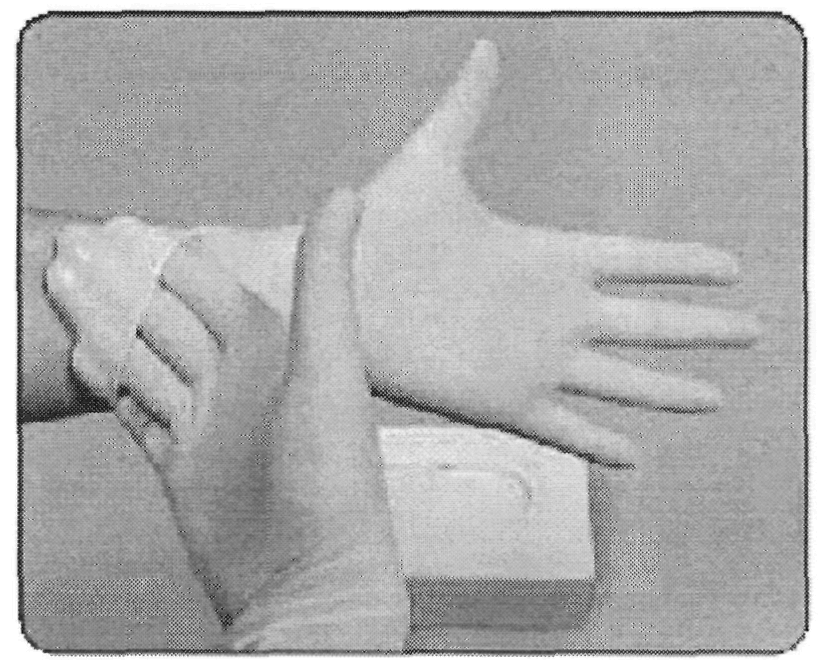 Размеры медицинских перчаток