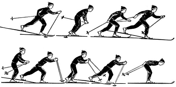 Способы передвижения на лыжах
