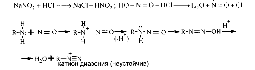 В. двухосновные кислоты жирного ряда